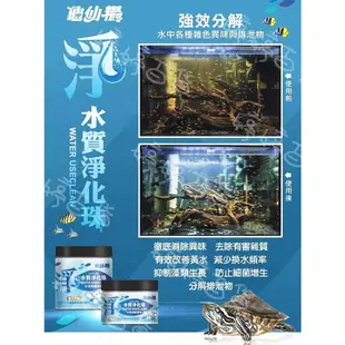 龜仙糧 水質淨化珠 水族爬蟲專用 水質淨化 生物珠 抑藻 除臭 脫色 分解 婷婷百貨 金金水族