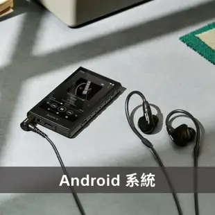 SONY NW-A306 高音質數位隨身聽 Walkman