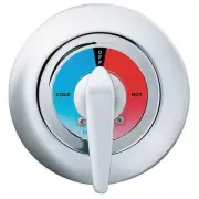Bradley Thermostatic Mixing Valve,Bradley,Chrome S59-2005 Bradley S59-2005