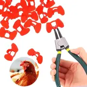 61 piezas de mirones sin alfileres para pollos, faisanes, aves de corral