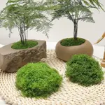 仿真淺綠絲狀苔蘚 仿真苔蘚 DIY人造青苔草坪草皮綠植裝飾 造景盆景鋪面絲狀假苔蘚 假植物 裝飾草皮造景裝飾 假青苔