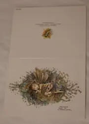 Vtg Pauline Stuckey Cassidy Fairy Blank Art Card "Tranquiluna" c. 2001