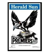 2023 AFL PREMIERS COLLINGWOOD Magpies GRAND FINAL PREMIERSHIP POSTER FRAMED