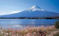 在飛比找Yahoo!奇摩拍賣優惠-日本正版拼圖． 富士山 花 湖 300片絕版拼圖，32-63
