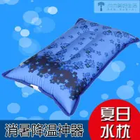 在飛比找蝦皮購物優惠-涼枕涼墊 涼枕頭 夏季注水降溫涼墊透氣 水疑涼枕 寶寶涼枕 