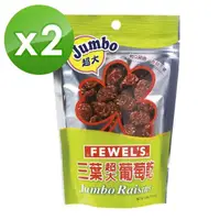 在飛比找momo購物網優惠-【義美】三葉 超大葡萄乾200g(2入組)