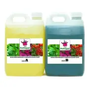 Hydroponic nutrient - Autopot part A & B 2.5 liter pair full spectrum liquid