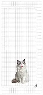 wqibq Cat Protection Door, Scratch-Resistant Mesh Gauze with Reinforced Inner Mesh and Zip, Thickened Barrier with Zip & Pet Accessories for Cats, Puppies and Kittens