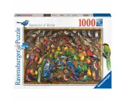 1000pc Ravensburger Rainbow Of Birds Jigsaw Puzzle Brain Game 70x50cm 14y+