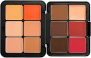 Carla's Secret Cream Blush and Concealer Palette - 12 Colors, Color Correcting Foundation, Long-Wearing Full Coverage Makeup (E)