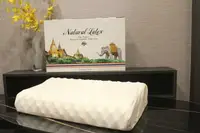在飛比找樂天市場購物網優惠-NATURAL LATEX 金大象泰國乳膠枕(按摩款)