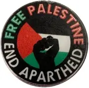 [Pinstant] Plastic Acrylic Free Palestine End Apartheid the Occupation Palestinian Flag Fist Human Rights State Gaza West Bank East Jerusalem 1.2" Plastic Acrylic Pin Badge Button, 1.2 Inches, Plastic, acrylic