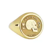 14K Gold Memento Mori Ring, Mortality & Wisdom Jewelry, Carpe Diem Energy