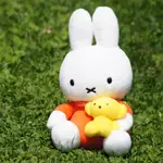 哈囉喵日本代購 🐱 MIFFY 玩偶 抱熊熊 DICK BRUNA 米飛兔 米菲兔 23CM 娃娃