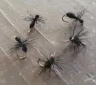 One dozen (12) Black Ant flies size 10