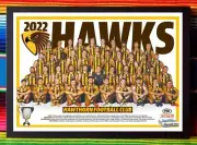 Framed 2022 HAWTHORN HAWKS AFL Poster - 62cm x 44.5cm x 3cm
