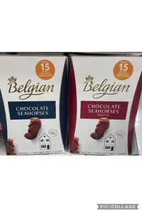 在飛比找Yahoo!奇摩拍賣優惠-12/6前 The Belgian 比利時海馬榛果夾心巧克力