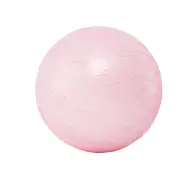NNEOBA Thickened Anti-Burst Yoga Ball for Fitness