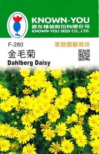 在飛比找Yahoo!奇摩拍賣優惠-金毛菊【花卉種子】 農友種苗  全館滿$300免運費，或可搭