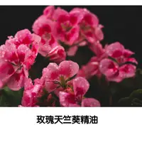 在飛比找蝦皮購物優惠-【ls】玫瑰天竺葵精油 Rose Geranium Natu