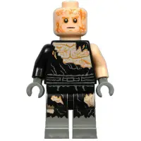 在飛比找蝦皮購物優惠-樂高人偶王 LEGO 星戰系列 #75183 sw0829 