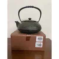 在飛比找蝦皮購物優惠-《免運》日本南部鐵器蜻蜓附內膽鑄鐵急須500毫升泡茶鐵壺