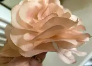 Vintage Millinery 1950s Flower Rose Leaves 4.5" Peach Silk 1pc Czechoslovakia