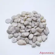 White Nature Pebble Stone Home Deco Outdoor Garden Aquarium 10LBS 30LBS Small
