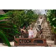 Save 14.99%! Private Jeep or Buggy Tour Snorkeling Maya Park and Tacos
