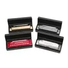 10 Hole Harmonica Mouth Organ Puzzle Musical Instrument Beginner Teachi3C
