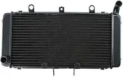 Motorcycle Engine Radiator Cooler Cooling system Compatible with CB1300 CB 1300 2003-2008 04 05 06 07 Black