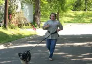 Single 8 Ft Hands Free Dog Leash Cycling, Jogging Carter Pet Supply