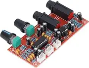 Respicefinem PT2399 Digital Microphone Amplifier Module Karaoke Audio Reverberation Board With DC12 To 24V Wide Voltage Range High Performance Low Noise Suitable For Various