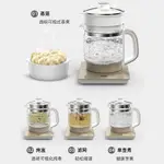 志高養生壺家用多功能加厚玻璃辦公室小型煮茶器花茶壺開水燒水壺 12345