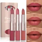 3pc/set 2 in 1 Matte Lipstick Long Lasting Velvet Lip Gloss Waterproof Makeup