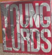 YOUNG LORDS s/t LP NEW NM- Colored splatter vinyl Tad Nirvana Mudhoney Melvins