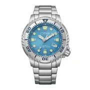 Citizen Promaster Marine Eco-drive Watch BN0165-55L Au*AU
