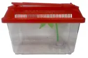 Terrarium Habitat Small Fish Tank Turtle Tank Living Tank Portable House Red