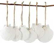 Seashell White Scallop Shell with Hole Natural Clam Super Shells Assortment for DIY Hanging Ornaments Home Deocration