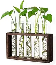 Wall Hanging Glass Test Tube Planter Propagation Station Glass Vase Rack with Wood Stand, Plant Terrarium Holder for Hydroponics Succulent Air Bamboo Plants with 5 Test Tube