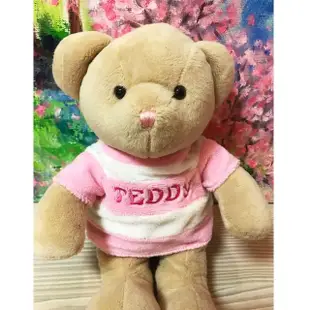 【TEDDY HOUSE泰迪熊】泰迪熊玩具玩偶公仔絨毛娃娃baby條紋泰迪熊大粉紅(正版泰迪熊可許願好運泰迪熊)