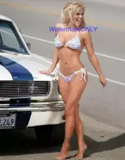 SUPER HOT "LEGGY" Bikini Car Babe & 65/66 Ford Mustang "Pin-UP" PHOTO! #(73a)