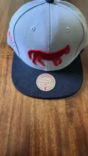 Mitchell & Ness Men's Detroit Tigers Away Snapback Coop Hat Gray & Black OSFM