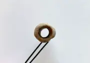 Natural 2.5” Long Tube 3/8”Hole Beach Rock Hag Stone Fairy Mystic Magic Holey US