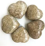 JJST 189g Natural Petrified Wood Heart Polished Quartz Crystal Rock Stone Natural Stones and Minerals 0308