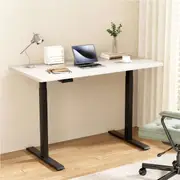 1 Adjustable Height Electric Standing Desk Computer Desks Dual Motor