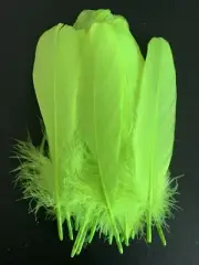 20pcs 15-20cm Natural Real Fluorescent Green Goose Feathers DIY Craft Cake