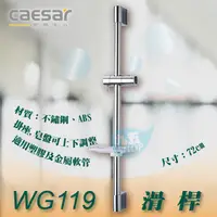 在飛比找蝦皮購物優惠-『九五居家』凱撒 CASER WG119 不鏽鋼滑桿 花灑柱