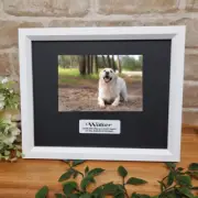 Dog, Cat, Pet Memorial White Photo Frame 4x6 Black Matt