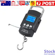 Portable Hand-Held Scale Luggage Scale 50 Kg Hook Scale With Measuring Tape”Fish